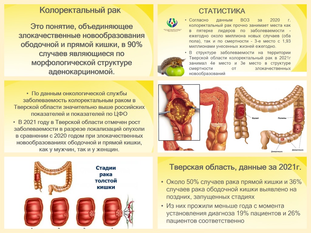 Диспансеризация | Бологовская ЦРБ